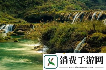 八尺夫人满天星：探索传统与现代的完美融合！