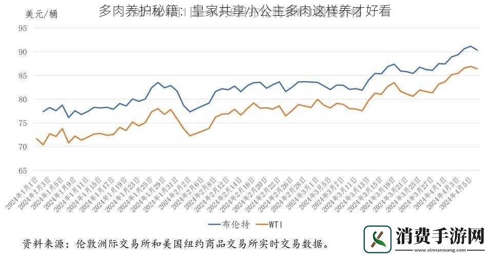 多肉养护秘籍：皇家共享小公主多肉这样养才好看