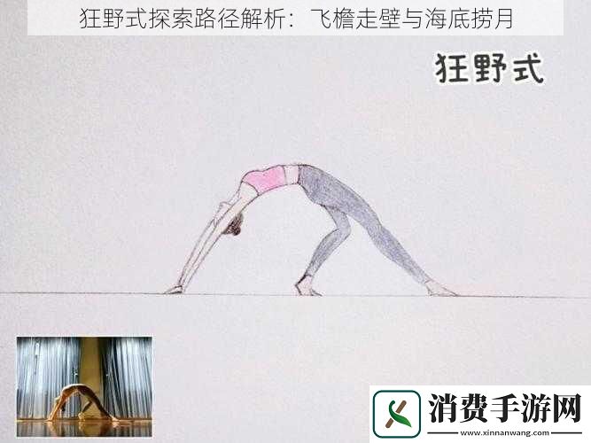狂野式探索路径解析：飞檐走壁与海底捞月