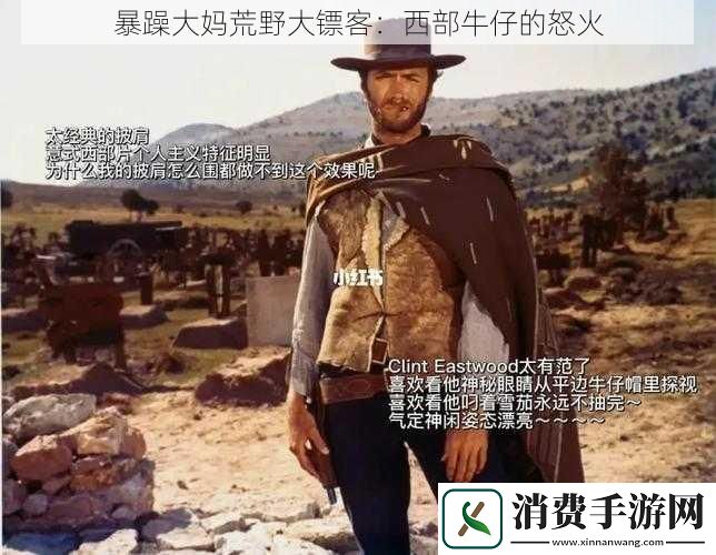 暴躁大妈荒野大镖客