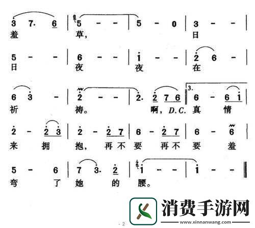 含羞草经典影视歌曲青春的忆影视