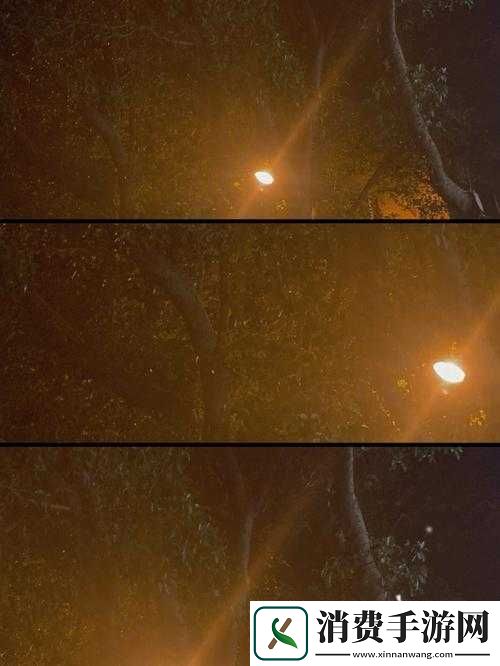 适合夜晚独享的影单