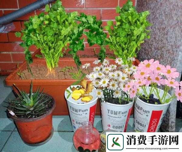 亲小花园的时候需要垫枕头吗