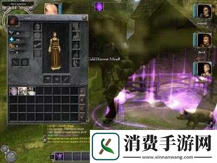 无冬之夜2典型bug解决教程