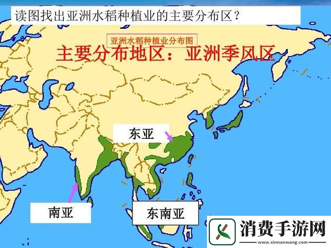 “亚洲产区