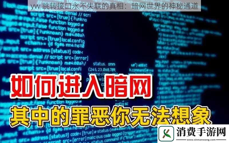 yw-跳转接口永不失联的真相：暗世界的神秘通道