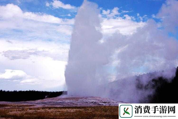 探索大地资源二在线观看免费高清魅力之精彩