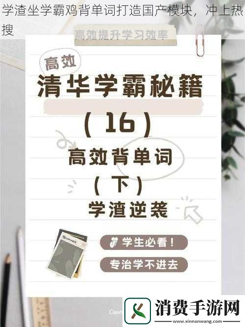 争霸艾泽拉斯坐骑