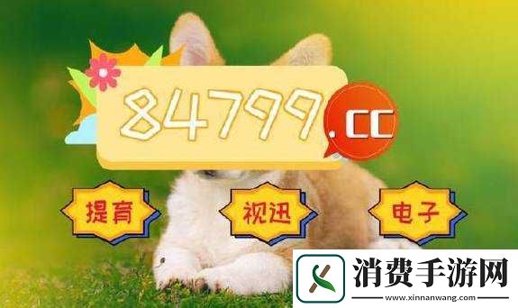 无人区一码二码三码四码区