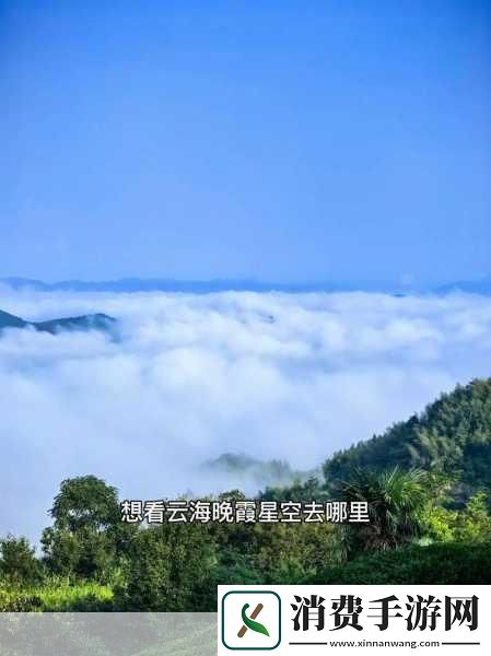 麻花星空mV