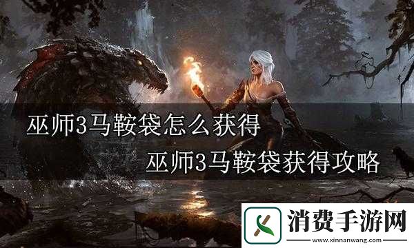 巫师3免费获得100负重马鞍袋的方式