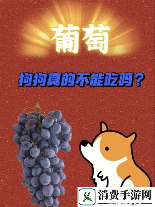 葡萄不准掉出且晚上检查