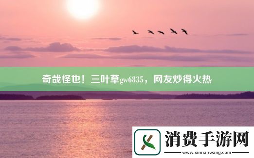 奇哉怪也！三叶草gw6835