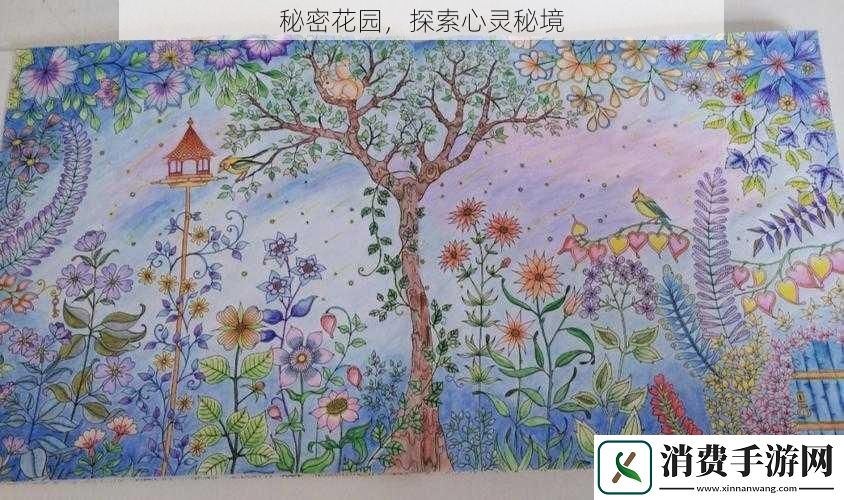 秘密花园探索心灵秘境