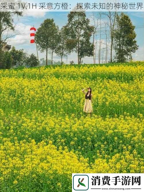 采蜜1V.1H采意方橙