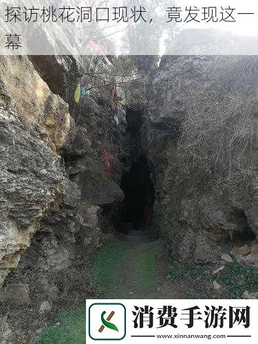 探访桃花洞口现状竟发现这一幕