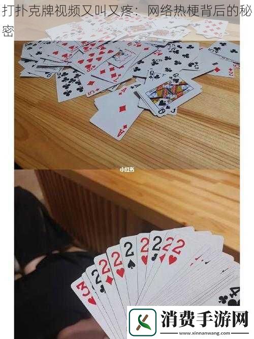 打扑克牌视频又叫又疼
