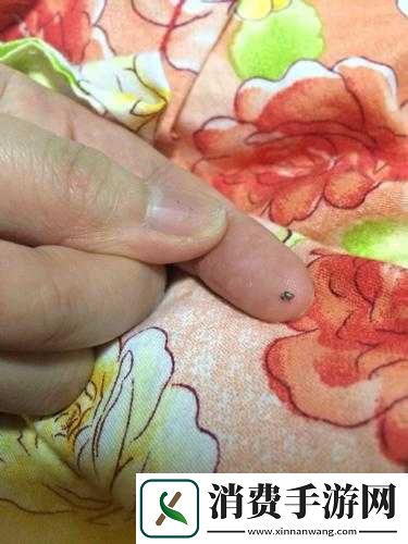 双腿间硬硬的胎头湿漉漉的挤出来