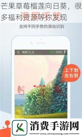 芒果草莓榴莲向日葵-很多福利资源等你发现