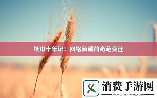 纸巾十年记