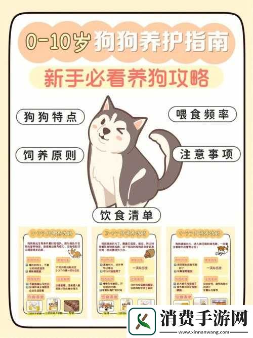 骑砍战团维京征服重铸版怎么驯服狗