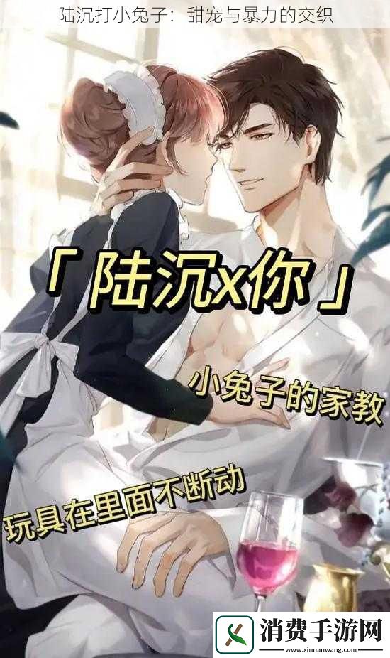 陆沉打小兔子：甜宠与暴力的交织