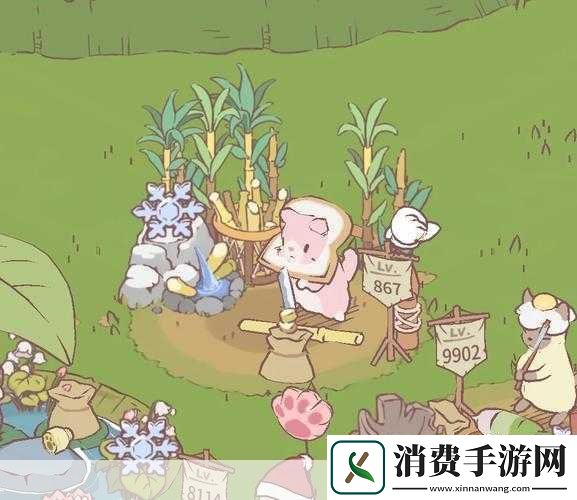 猫咪和汤怎么进入猫猫房间：猫咪和汤是怎么一起进入猫猫房间的呢