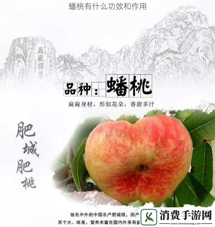 蟠桃有什么功效和作用