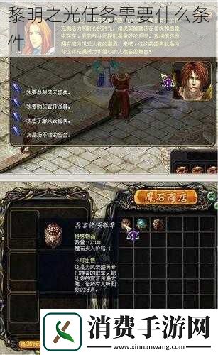 心之月花圃探秘：探索神秘花田的奇妙之旅