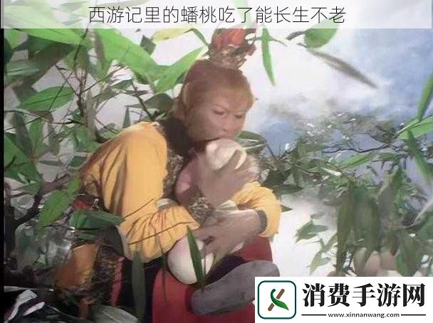 西游记里的蟠桃吃了能长生不老
