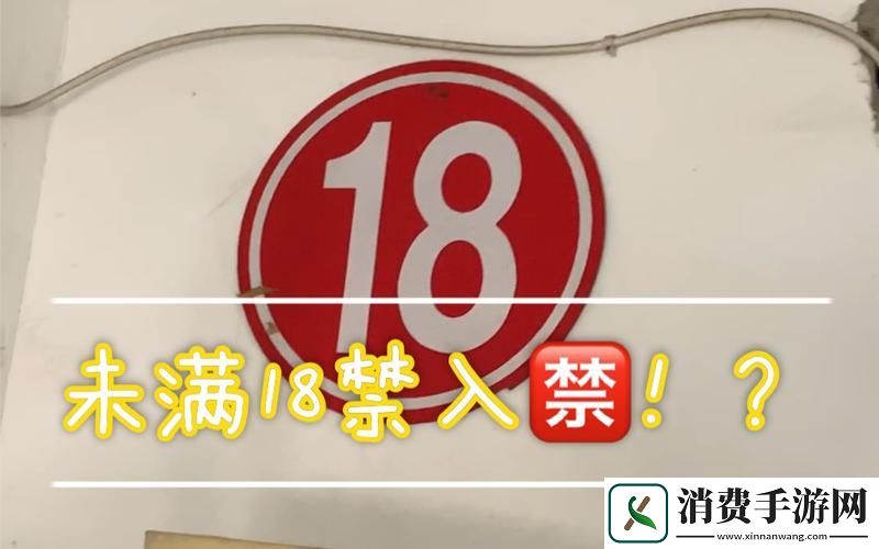 藏宝阁未满十八岁显示