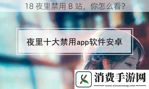 18-夜里禁用-B-站-你怎么看