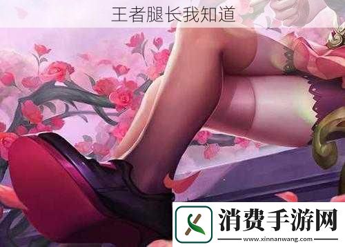 王者腿长我知道