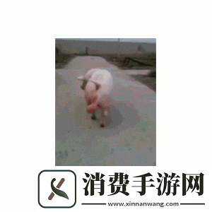 大球球上下晃动之神奇现象