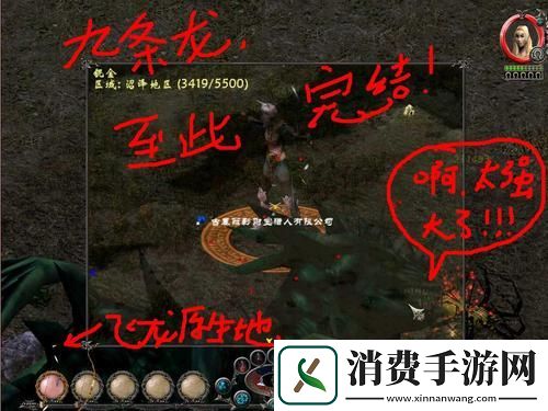 神圣纪事龙的位置及其打法