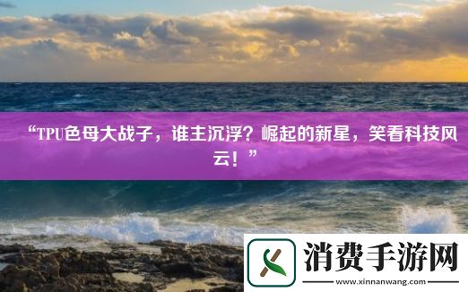 “TPU色母大战子