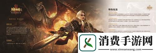 立足本土深耕海外