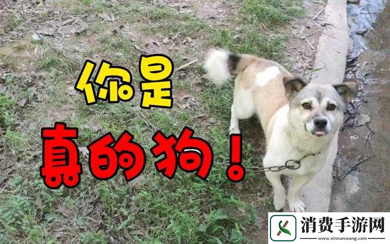 孙老头客厅大战最火的一句