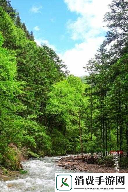 抬头看镜子里的接合处