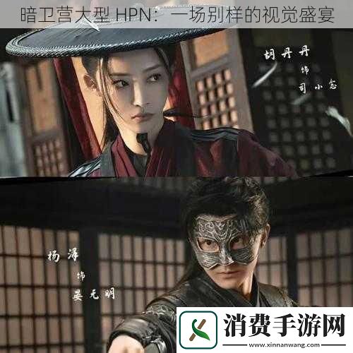 暗卫营大型-HPN：一场别样的视觉盛宴