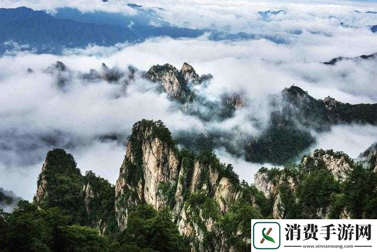 国产无线乱码新区