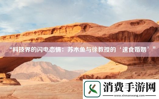 “科技界的闪电恋情