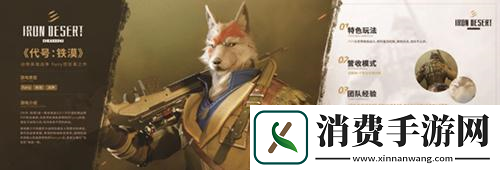 立足本土深耕海外