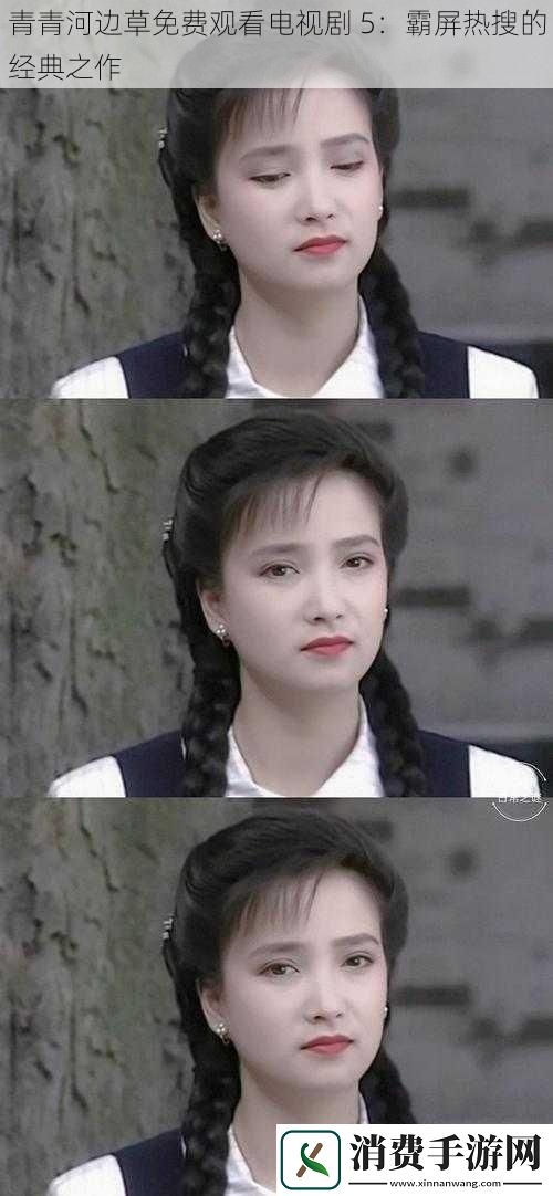 青青河边草免费观看电视剧5