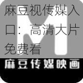麻豆视传媒入口