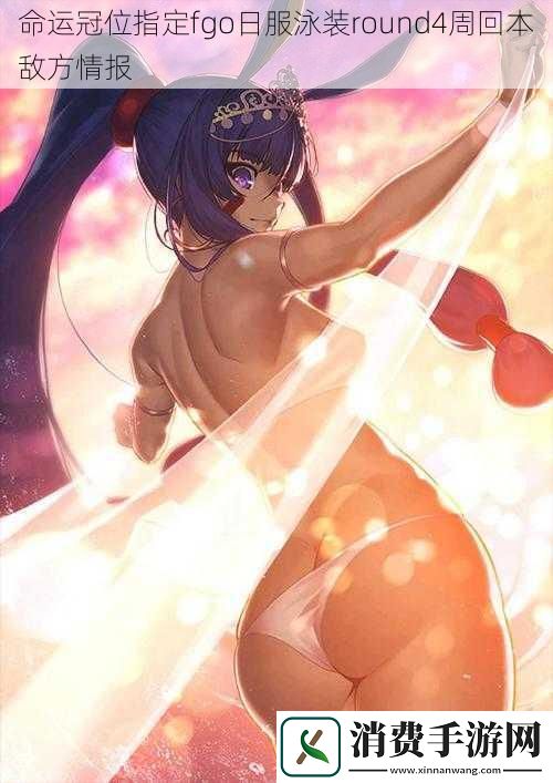 命运冠位指定fgo日服泳装round4周回本敌方情报
