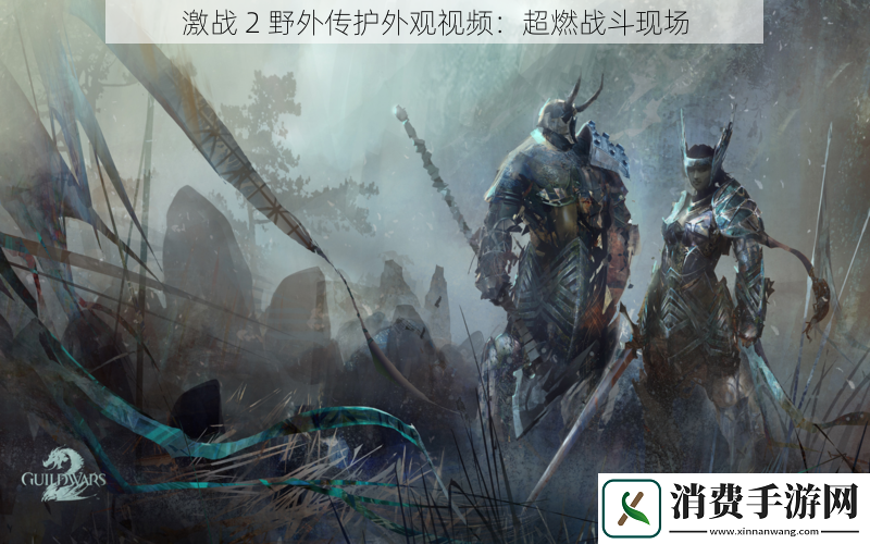 激战2野外传护外观视频