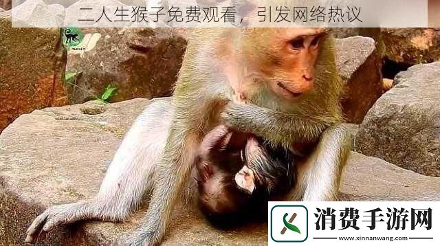 二人生猴子免费观看引发网络热议