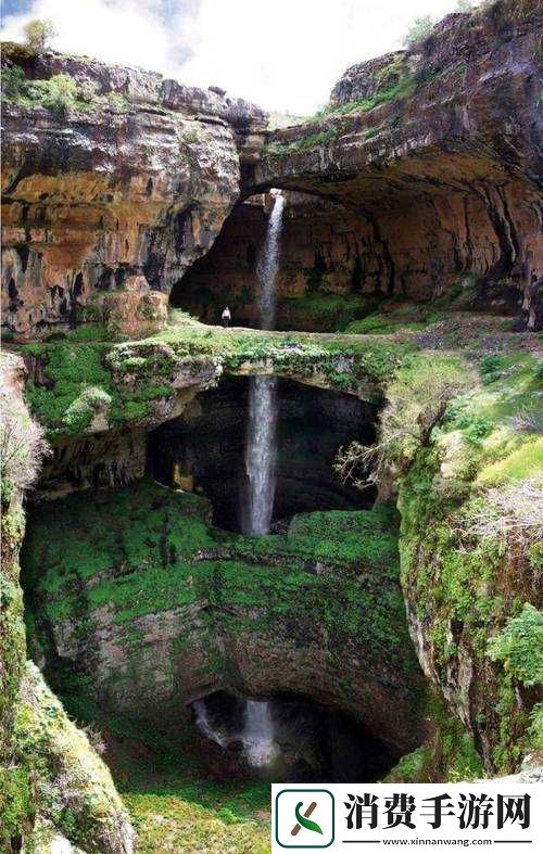 看了就会立的神奇图片