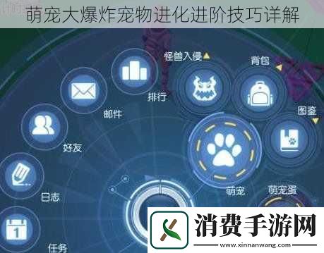 萌宠大爆炸宠物进化进阶技巧详解